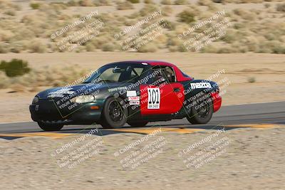 media/Feb-18-2024-Nasa AZ (Sun) [[891db5b212]]/7-Race Group A/Session 1 Turn 12 Exit-Bowl Entry/